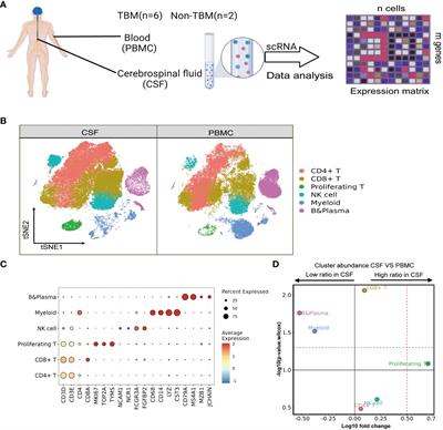 Single-cell transcriptome reveals highly complement activated microglia cells in association with pediatric tuberculous meningitis